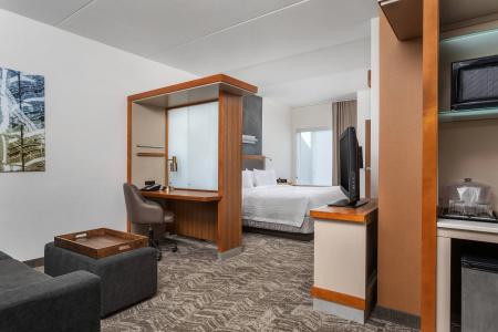 SpringHill Suites by Marriott Downtown/Cameron Harbor - 2