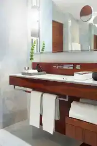 Las Alcobas, a Luxury Collection, Mexico City - 27