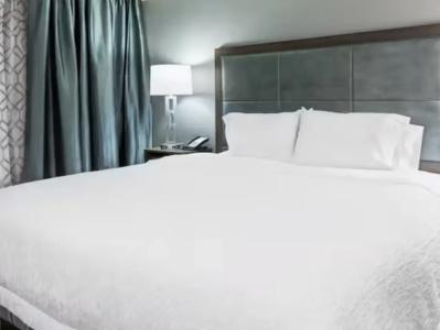 Hampton Inn & Suites Airport Avion Park Westshore - 82