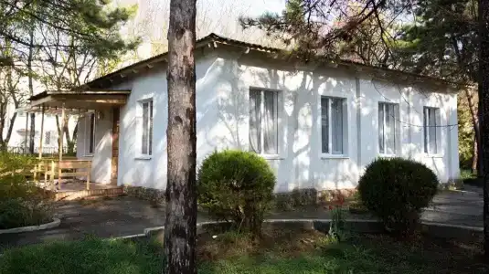 Дружба - 81