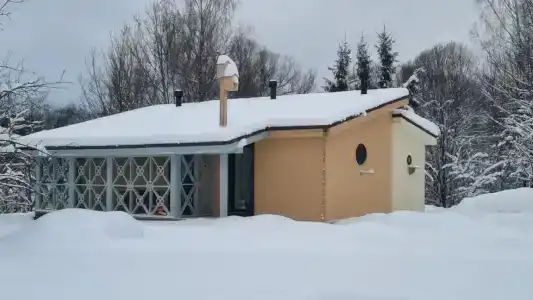 Клевер - 115
