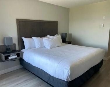 The Vista Inn - 4