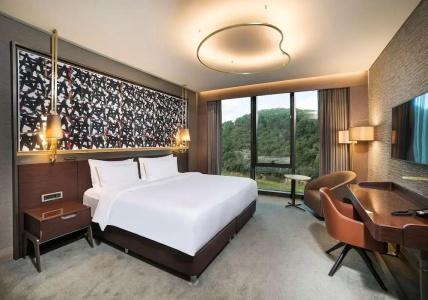 Radisson Blu, Vadistanbul - 69