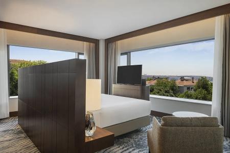 Conrad Istanbul Bosphorus - 173