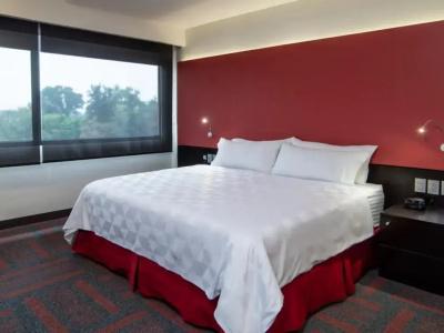 Holiday Inn Mexico Dali Airport, An Ihg - 50