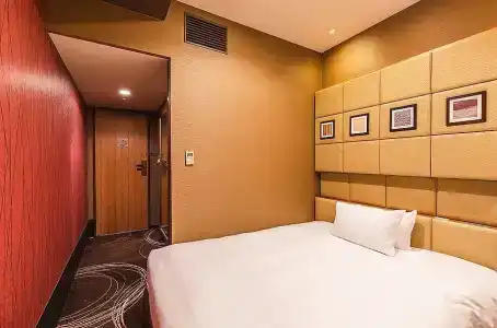 Sotetsu Fresa Inn Higashi Shinjuku - 33