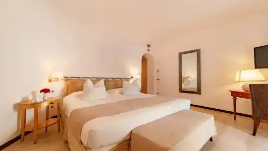 Alberi Del Paradiso - 149