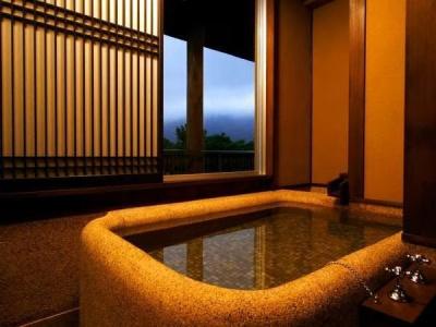 Mount View Hakone - 47