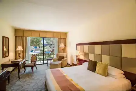 Grand Excelsior - 47