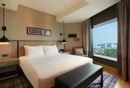 Hilton - 65