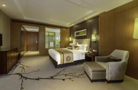 Royal Plaza Montreux - 50