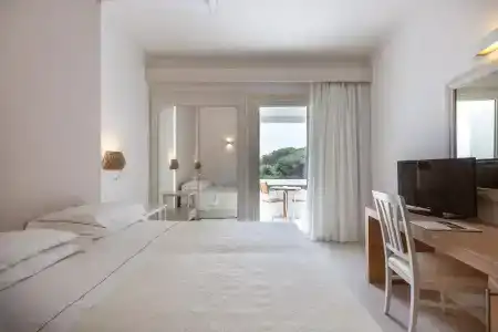 Flamingo - 69