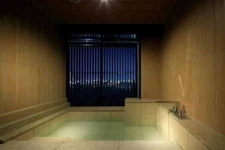 The Singulari & Skyspa At Universal Studios Japan - 69
