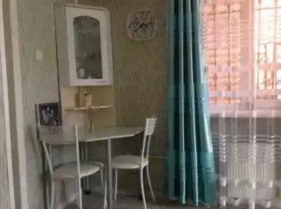 Кипарис на Красноармейском - 19
