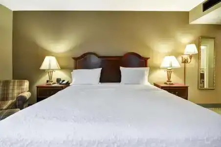 Hampton Inn Charleston-Historic District - 29