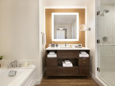 Fairmont Austin - 99