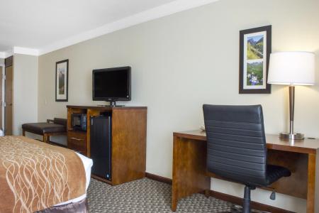 Comfort Inn & Suites - 6