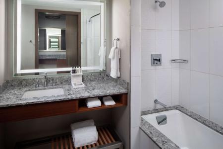 DoubleTree by Hilton - Mayo Clinic Area - 66