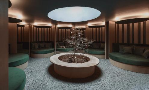 Sonnenhof sun/spa/panorama - 12