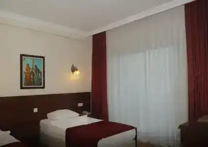 Stella - 40