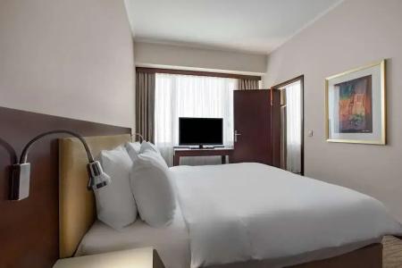 Radisson Blu Ankara - 53