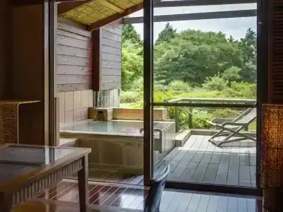 Green Plaza Hakone - 19