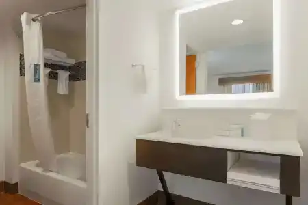 Hampton Inn & Suites Austin-Downtown/Convention Center - 98