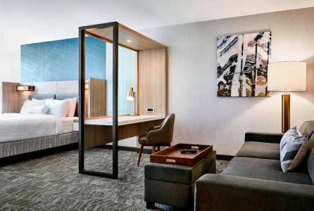 SpringHill Suites by Marriott San Diego Carlsbad - 2