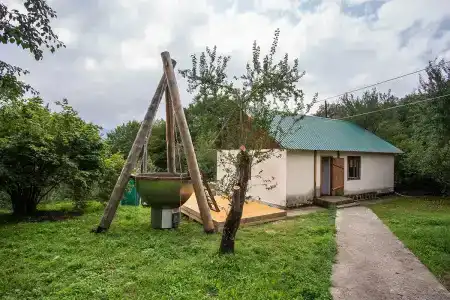 Груша - 12