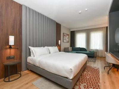Crowne Plaza - Crowne Plaza Ankara, An Ihg - 42