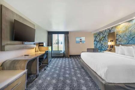 Clarion Inn - 73