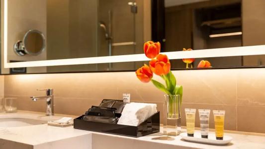 Carlton Bangkok Sukhumvit - Sha Extra Plus - 45