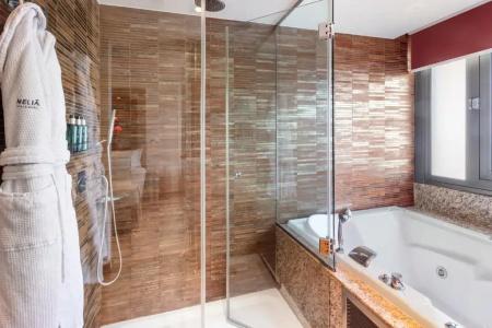 Melia Madrid Princesa - 106