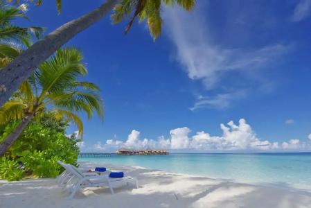 Angaga Island and Spa - 15