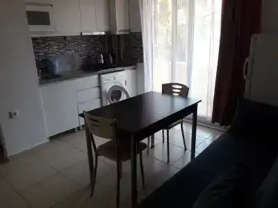 Karya - 50