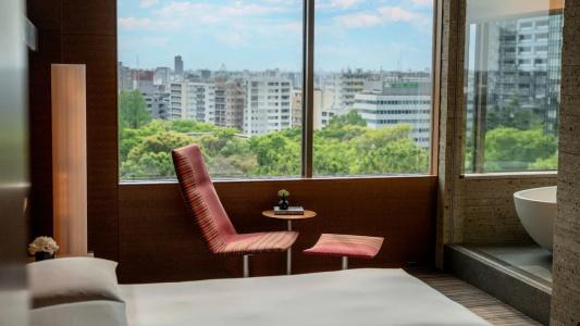 Hyatt Regency Tokyo - 63