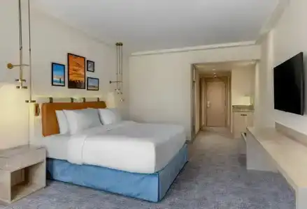 Hilton Alexandria Green Plaza - 45