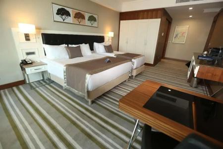 Radisson Blu, Diyarbakir - 33