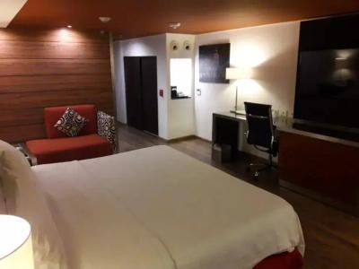 Holiday Inn Buenavista, An Ihg - 49