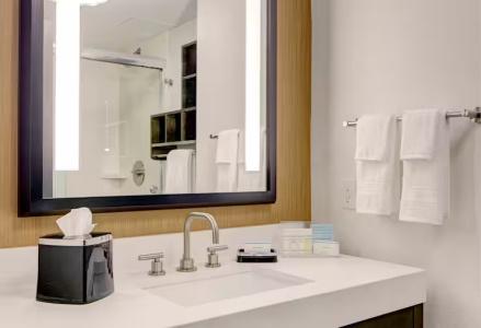 Hampton Inn Brooklyn Downtown - 41