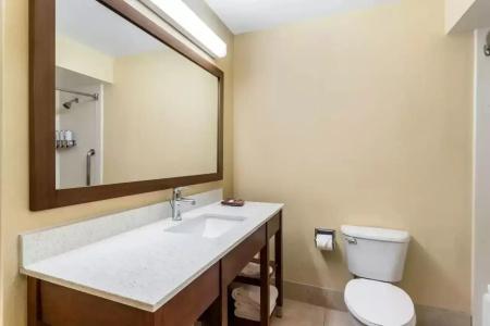 Comfort Suites Bush Intercontinental Airport - 33
