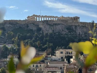 The Dolli at Acropolis - 100