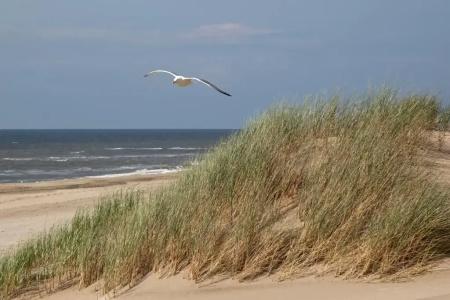 Golden Tulip Noordwijk Beach - 34