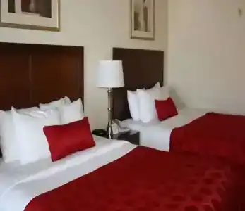 Ramada by Wyndham Denver International Airport - 28