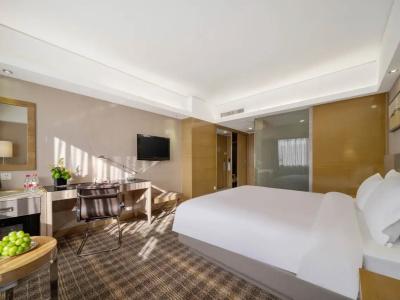 Grand Skylight Shenzhen (Huaqiang NorthBusiness Zone) - 30