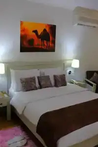Viking club sharm - 35