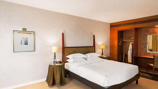 Hyatt Regency Paris - Charles De Gaulle - 37