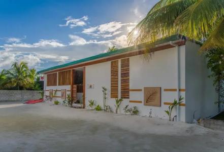 Dhiffushi White Sand Beach - 20
