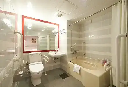 Sotetsu Fresa Inn Tokyo-Akasaka - 27