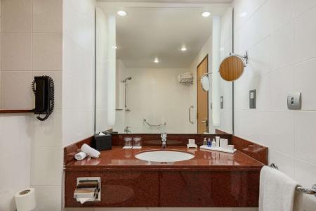 Radisson Blu, Muscat - 32